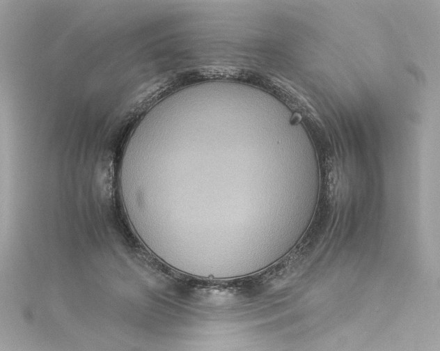 X0000115560498200911201825