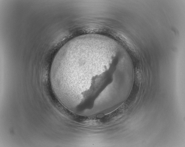 X0000115560499200911201825