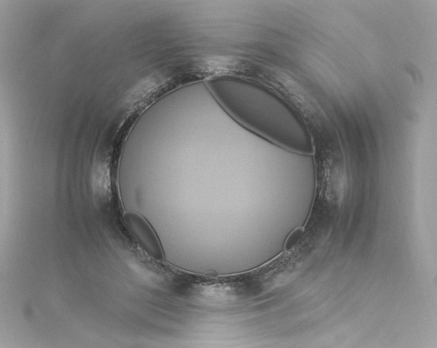 X0000115560500200911201825