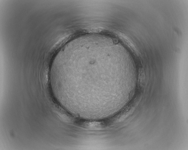 X0000115560501200911201825