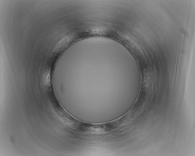 X0000115560502200911201825