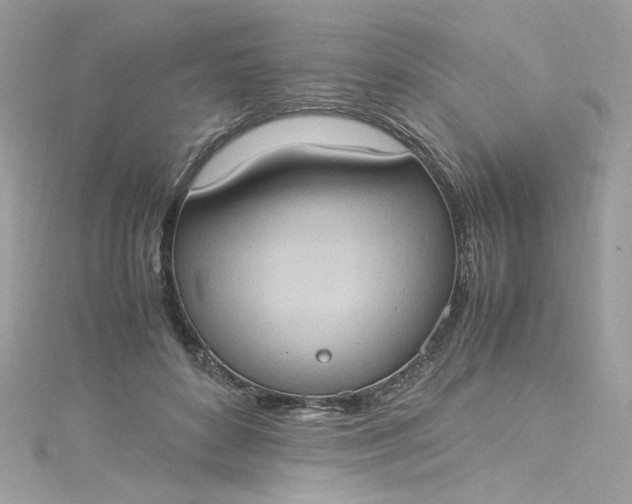 X0000115560504200911201825