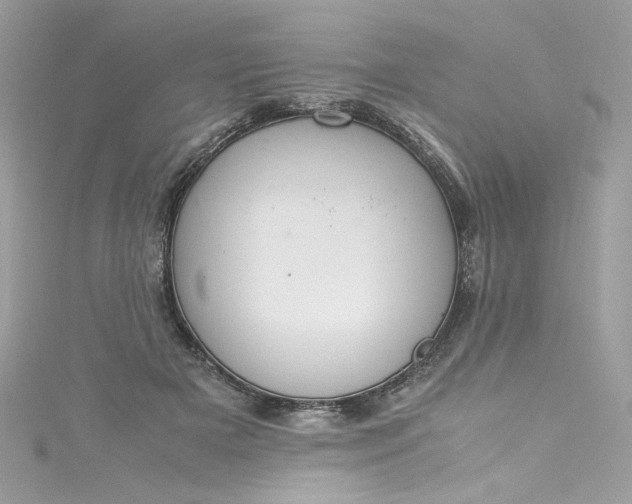 X0000115560505200911201825