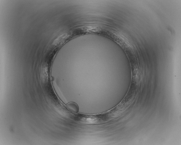 X0000115560506200911201825