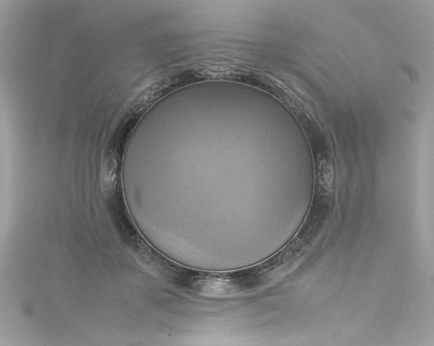 X0000115560507200911201825