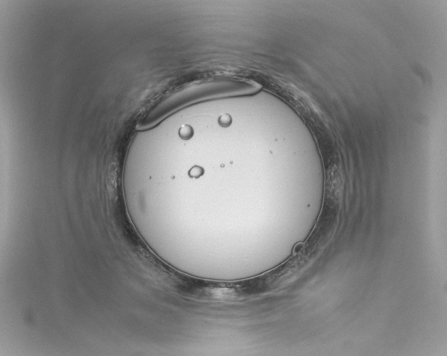 X0000115560509200911201825