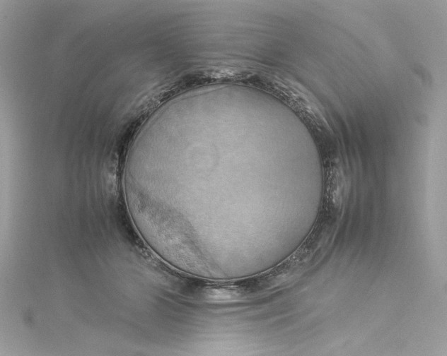 X0000115560510200911201825