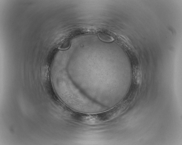 X0000115560511200911201825