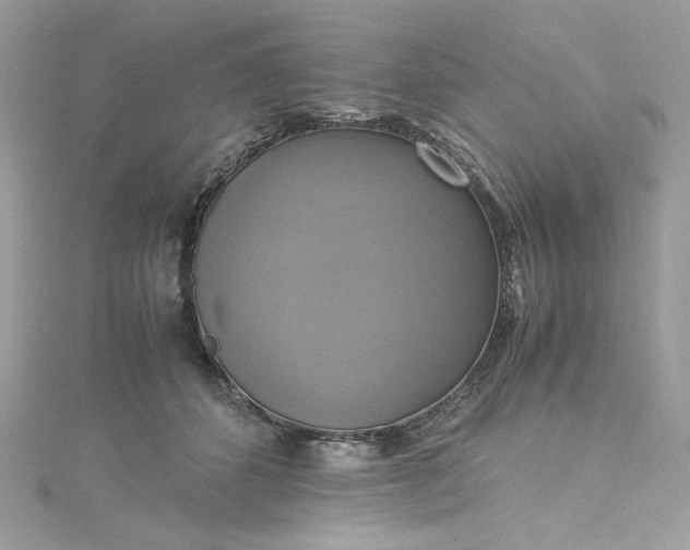 X0000115560512200911201825