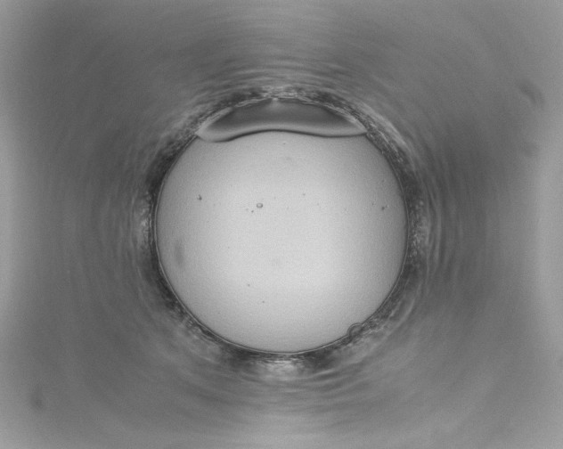 X0000115560513200911201825