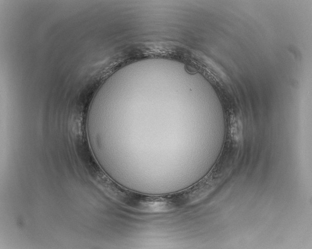 X0000115560514200911201825