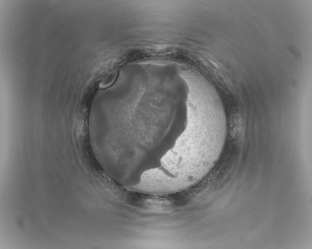 X0000115560515200911201825