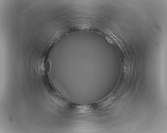 X0000115560516200911201825