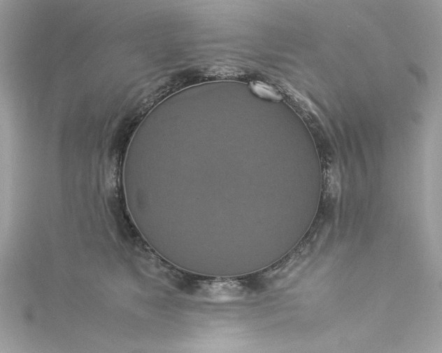 X0000115560517200911201825