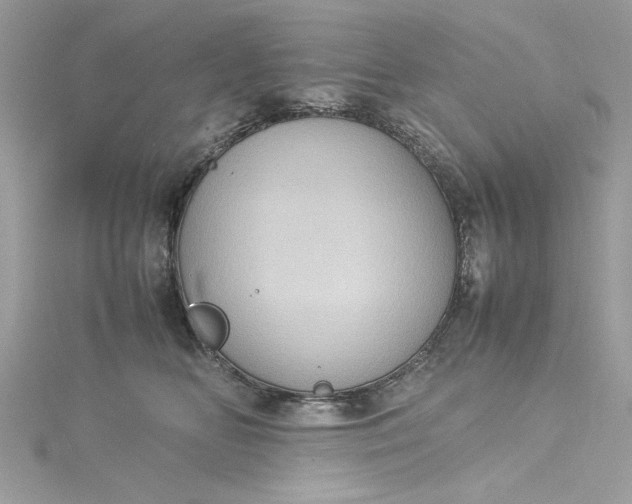 X0000115560518200911201825