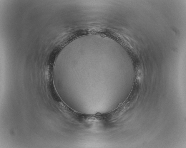 X0000115560519200911201825