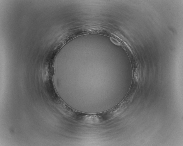 X0000115560520200911201825