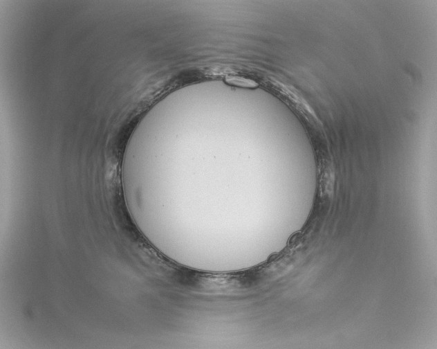 X0000115560521200911201825