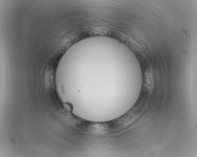 X0000115560522200911201825