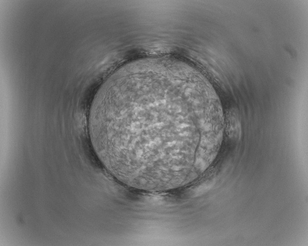 X0000115560523200911201825