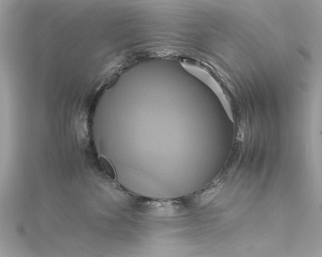 X0000115560524200911201825