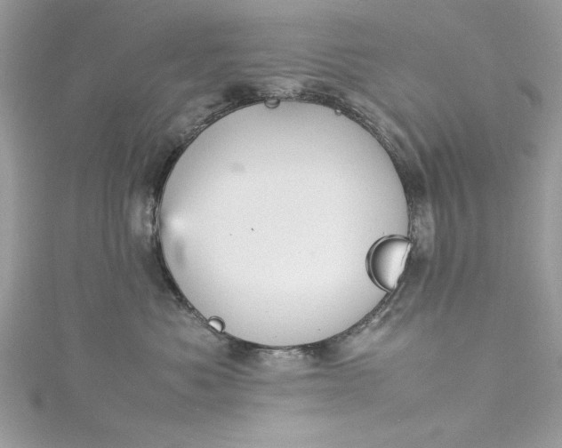 X0000115560525200911201825