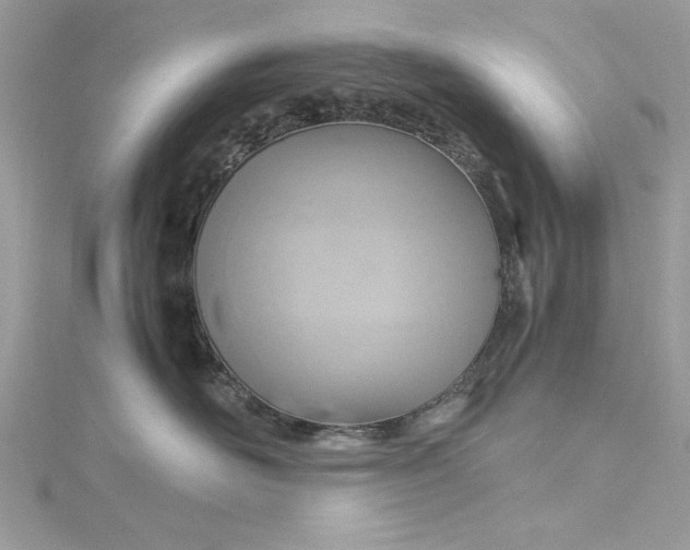 X0000115560526200911201825