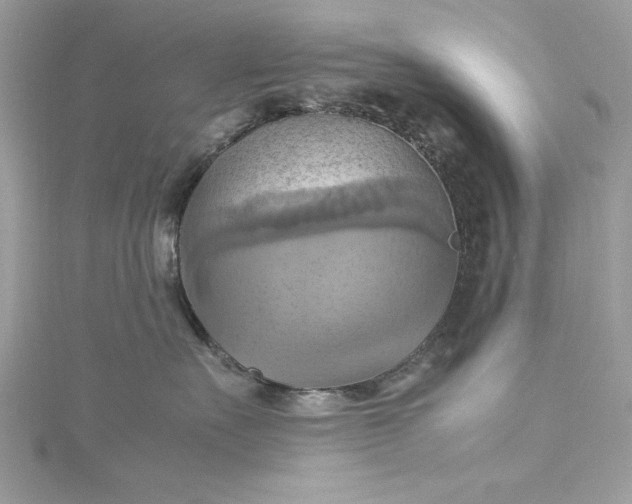 X0000115560527200911201825