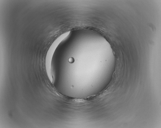 X0000115560528200911201825