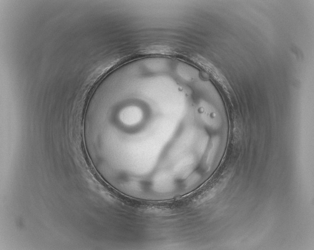 X0000115560529200911201824