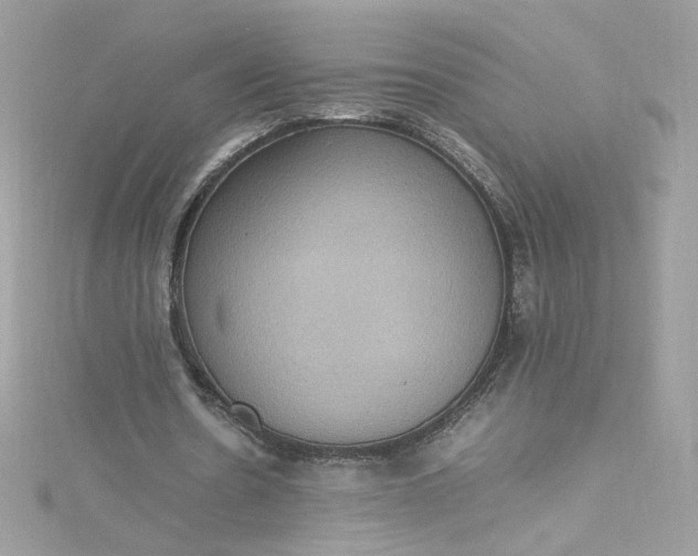 X0000115560530200911201824