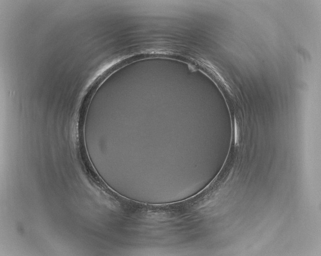 X0000115560531200911201824