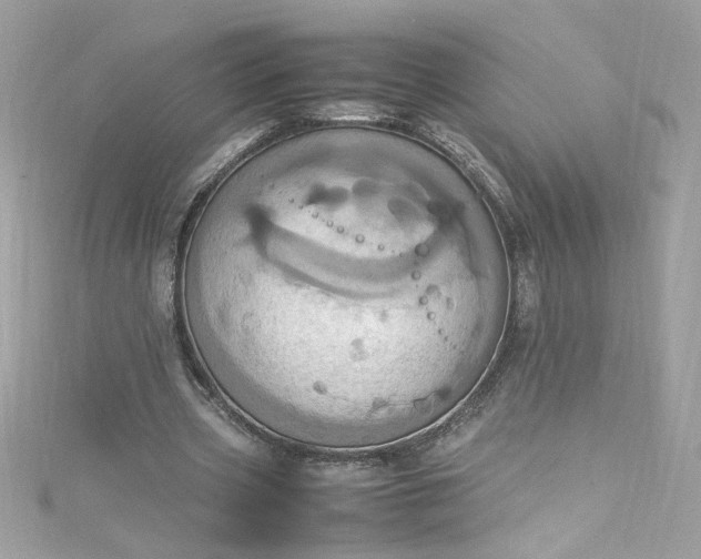 X0000115560533200911201824