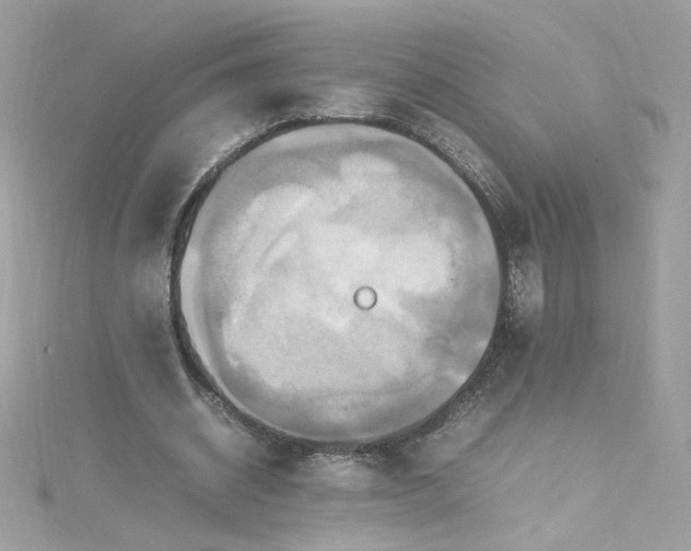 X0000115560534200911201824