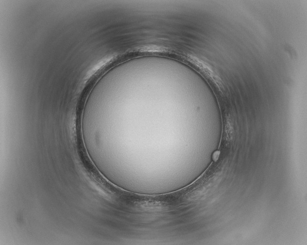 X0000115560535200911201824