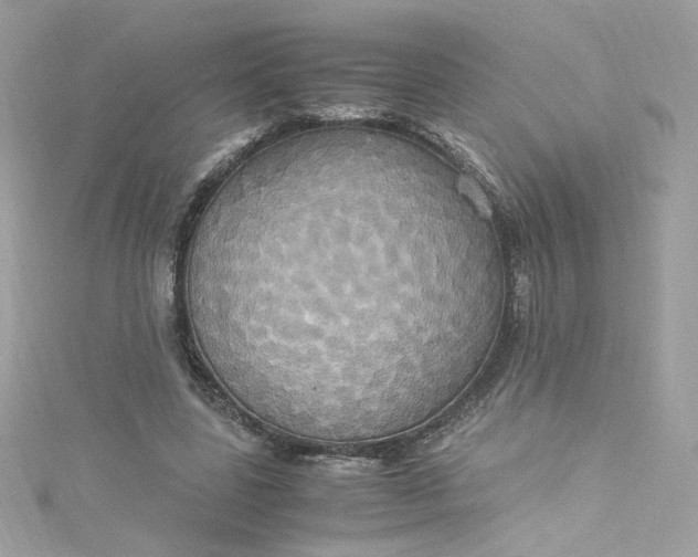 X0000115560539200911201824