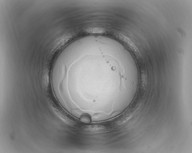 X0000115560541200911201824