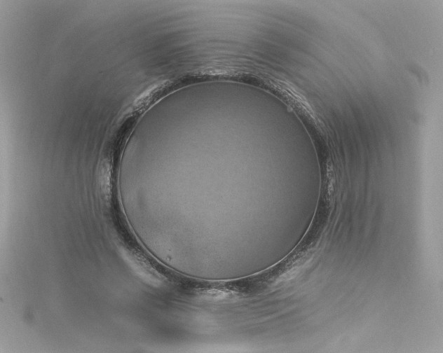 X0000115560542200911201824