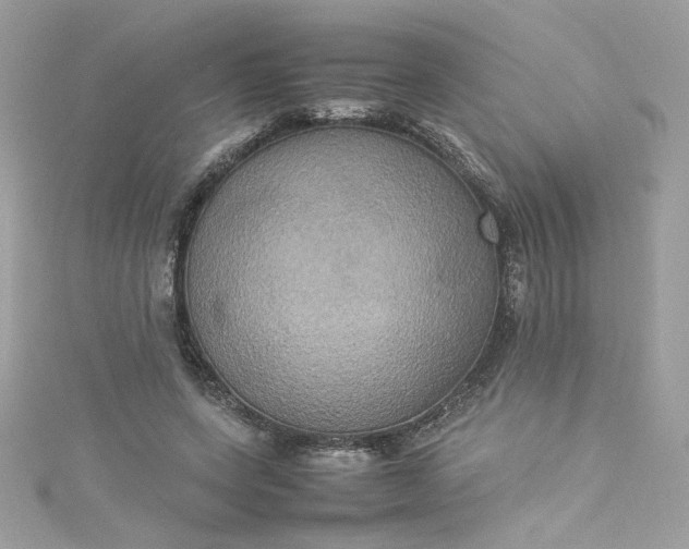 X0000115560543200911201824