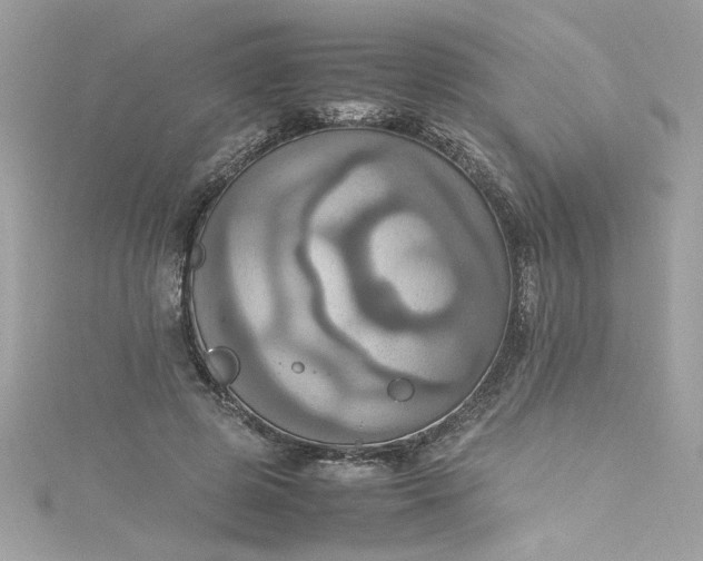 X0000115560545200911201825