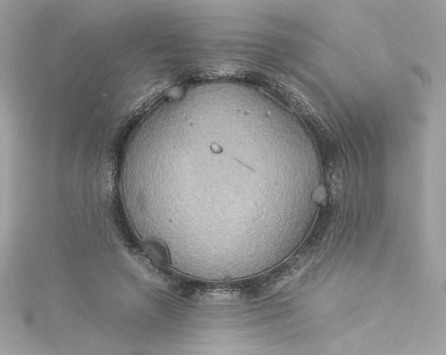 X0000115560546200911201825