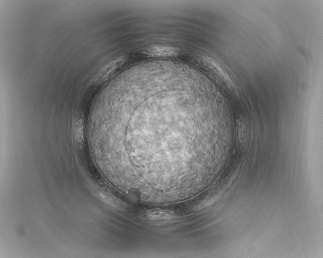 X0000115560549200911201825