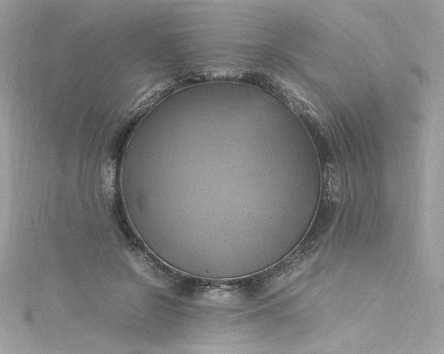 X0000115560550200911201825