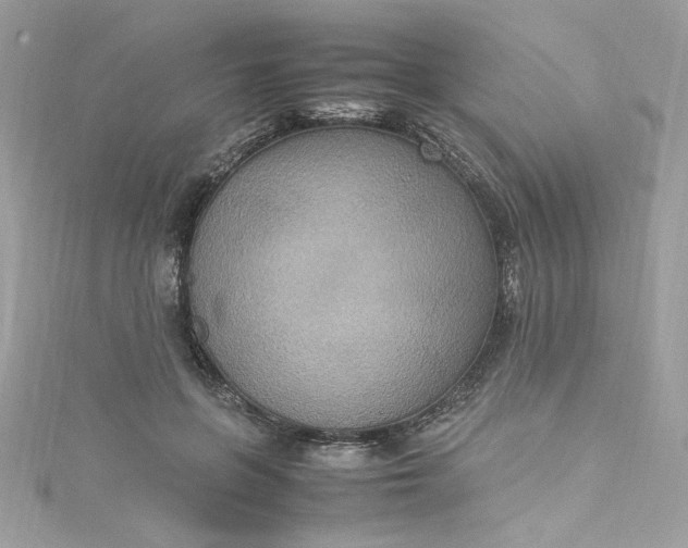 X0000115560551200911201825