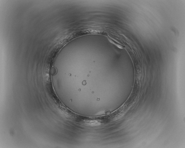 X0000115560553200911201825