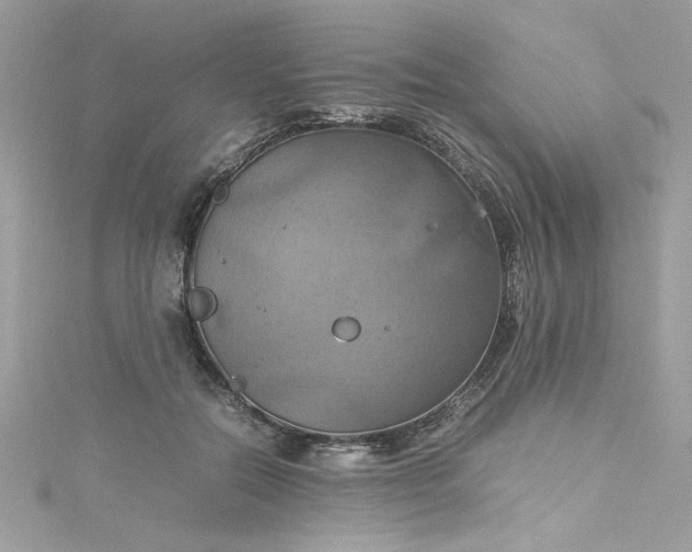 X0000115560554200911201825