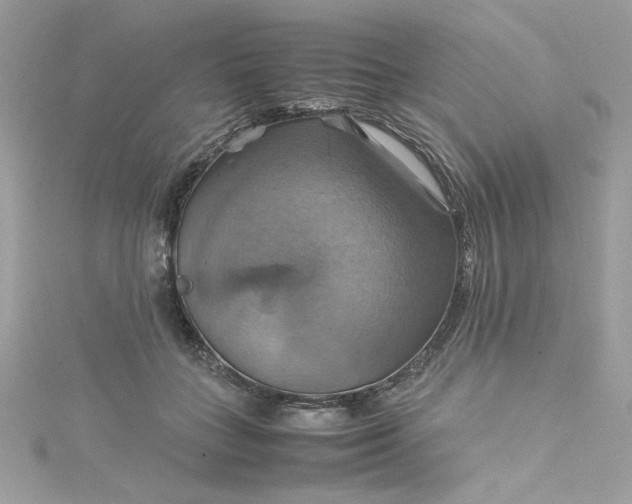 X0000115560555200911201825