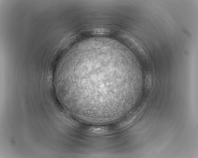 X0000115560557200911201825