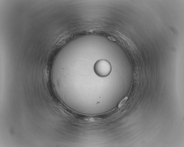 X0000115560558200911201825