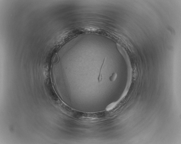 X0000115560559200911201825